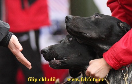Tri studne podzim 08 - 113.jpg